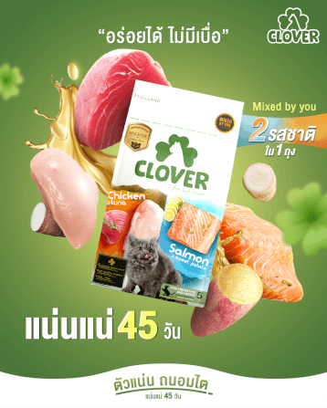 อาหารแมว CLOVER สูตร MIX BY YOU รสไก่กับทูน่า และแซลมอน เกรด HOLISTIC GRAIN-FREE โซเดียมต่ำ (400 G)_10